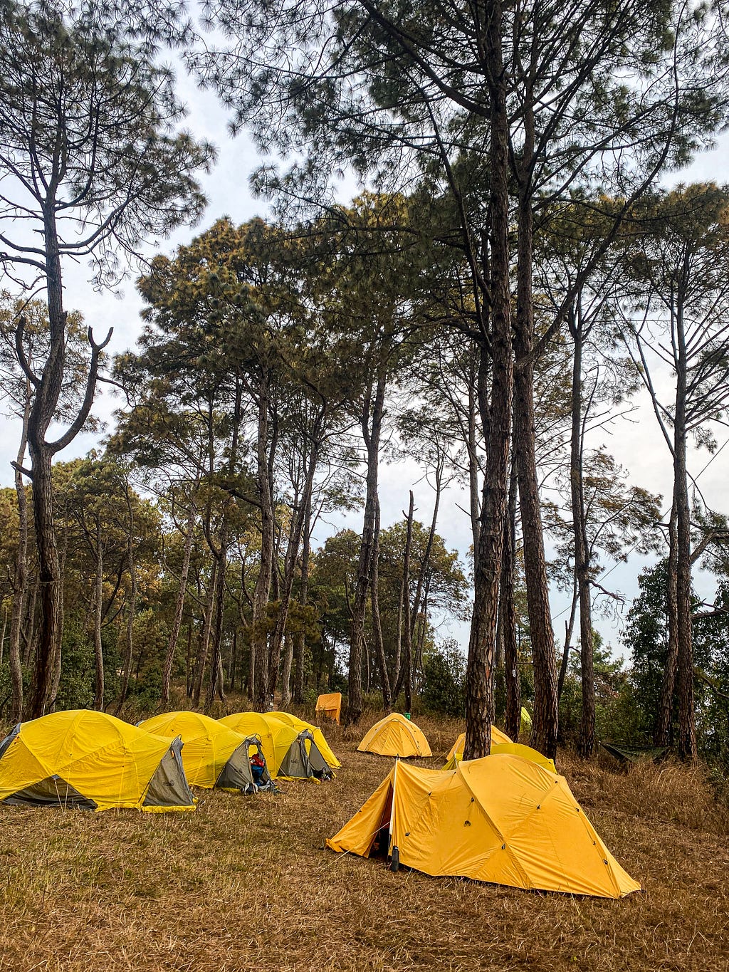 Our home in Hattiban. Latrine tents can be seen in the background. Photo by Author