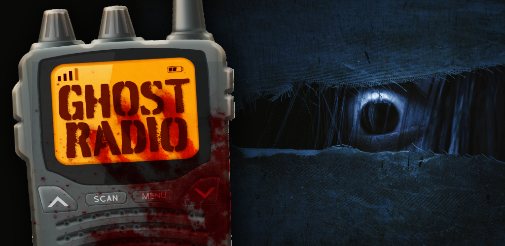 The Long Delayed Echo: A Ghost in the Radio The Long Delayed Echo: A Ghost in the Radio
