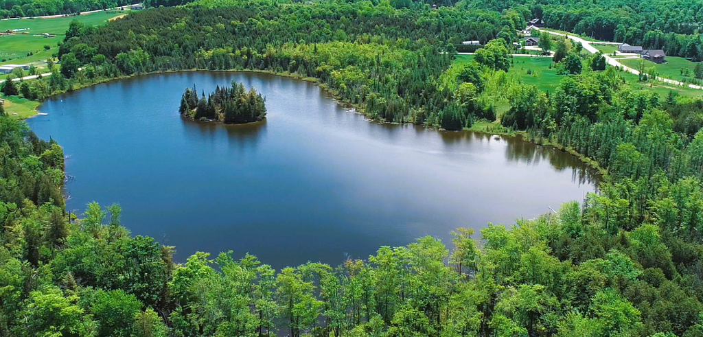 Curley Lake in Markdale, Ontario surrounded by trees, lakefront access, vacant land