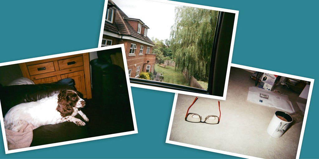 Photos taken by participants — one photo shows a dog, another a pair of glasses, and the last photo is the view from a window