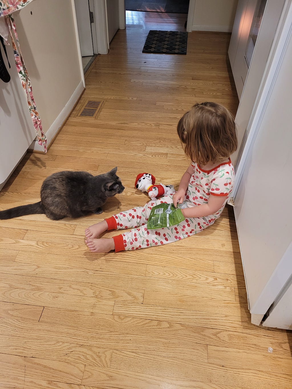 a cat lingers nearby while a toddler in pajamas offers treats.