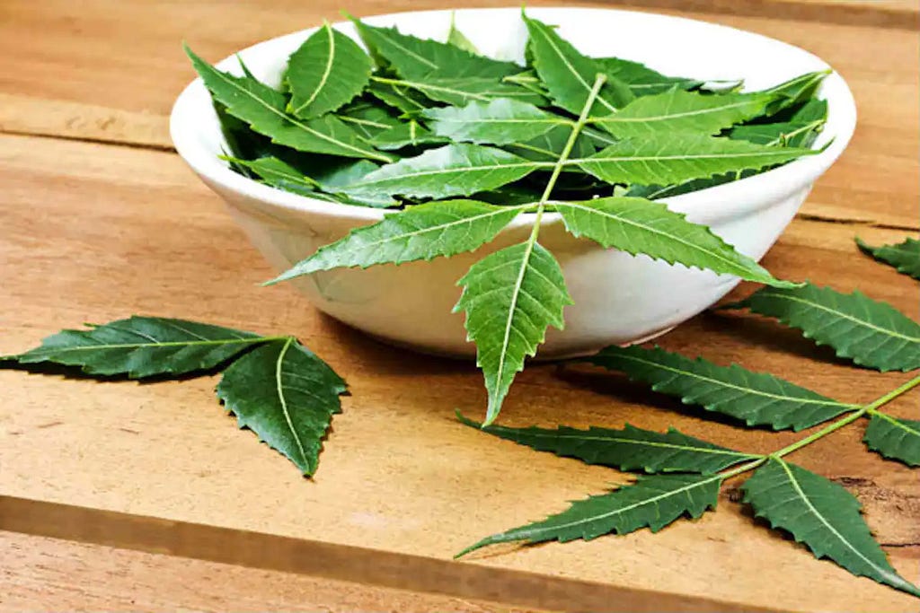 Margo Leaves (Neem) help fight against Cancer