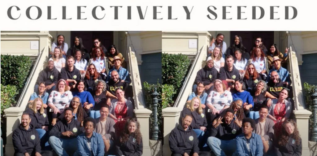 Still from Health Equity Awakened: A Story video. The image shows a photograph of the 2022 HEA fellows, seated on the front steps of a building in 6 rows and smiling in the sun. The photograph is mirrored, so the image spans the screen twice. At the top of the image is a white banner, with black text reading COLLECTIVELY SEEDED.