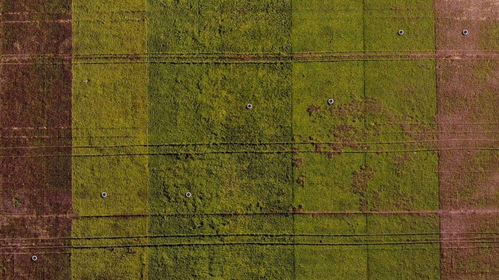 Aerial view of seven Arable Mark 2 devices in seed trial fields
