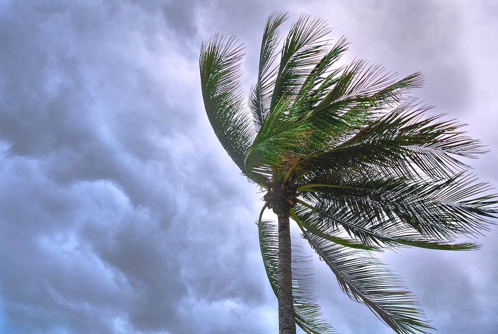 Stormy Windy Florida Weather