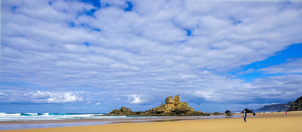 a beach scene