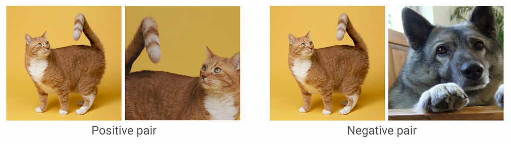 A positive image pair is generated by applying artificial augmentation on one image. The example of a negative pair shows a cat and a dog.