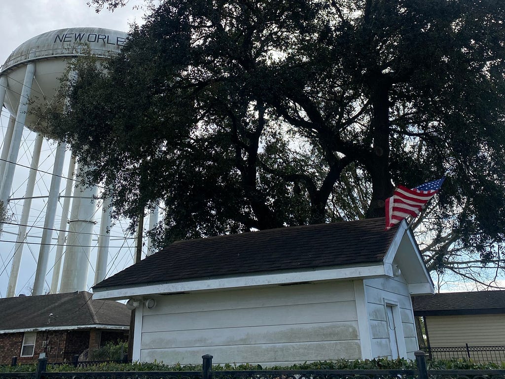 A shed with an American flag under a large tree.
