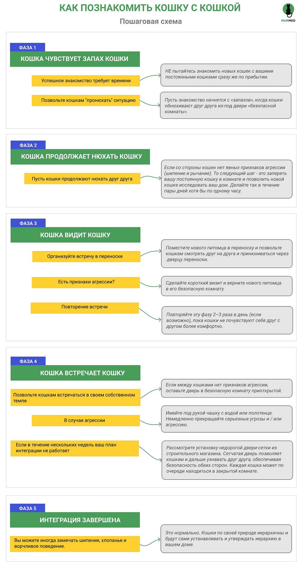 Как познакомить кошку с другой кошкой — описание шагов