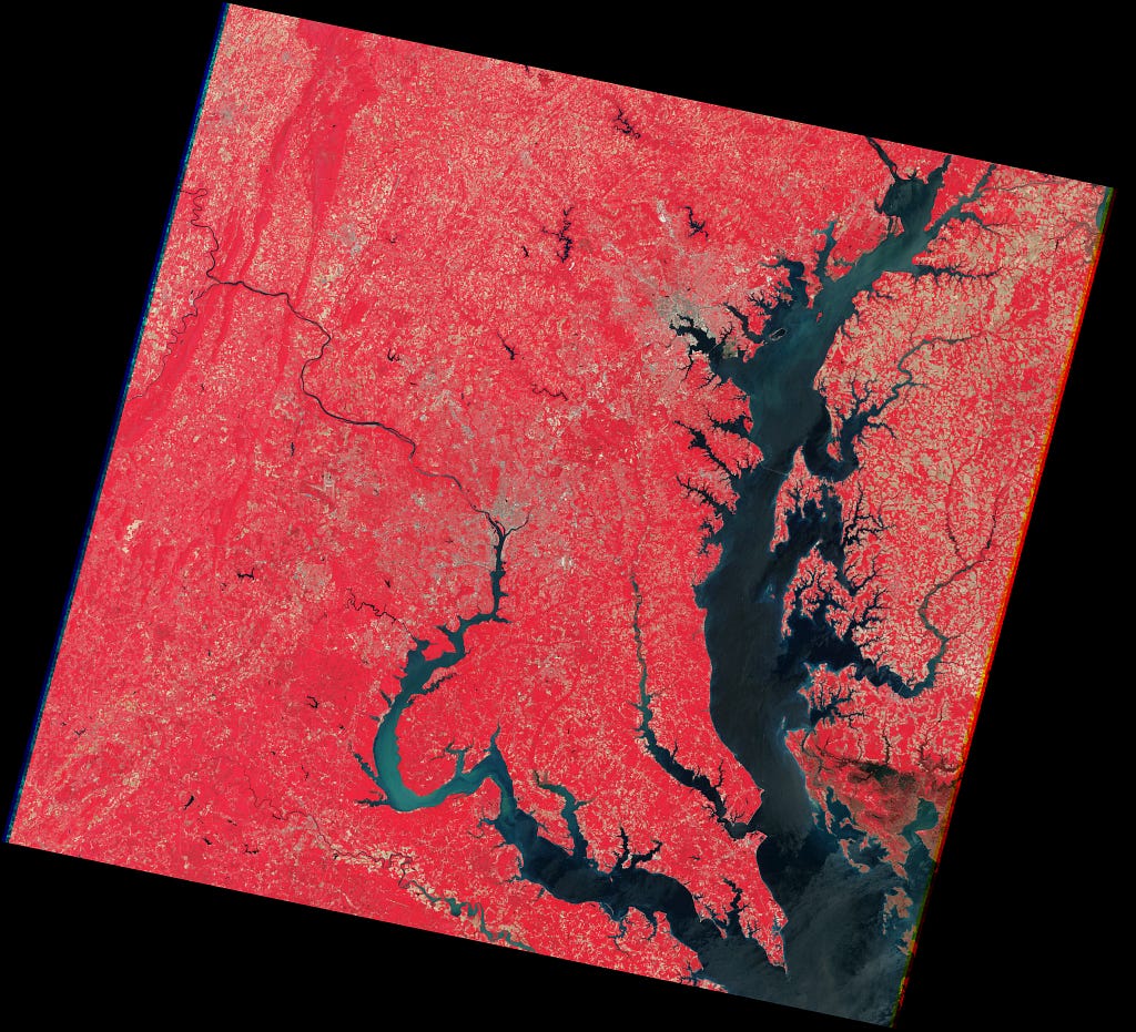 False-color satellite image of Washington, DC, Baltimore, MD, and the Chesapeake Bay collected on May 16, 1987. Vegetated fields, forests, and woods are bright red, urban areas are gray, and water is dark blue-black.