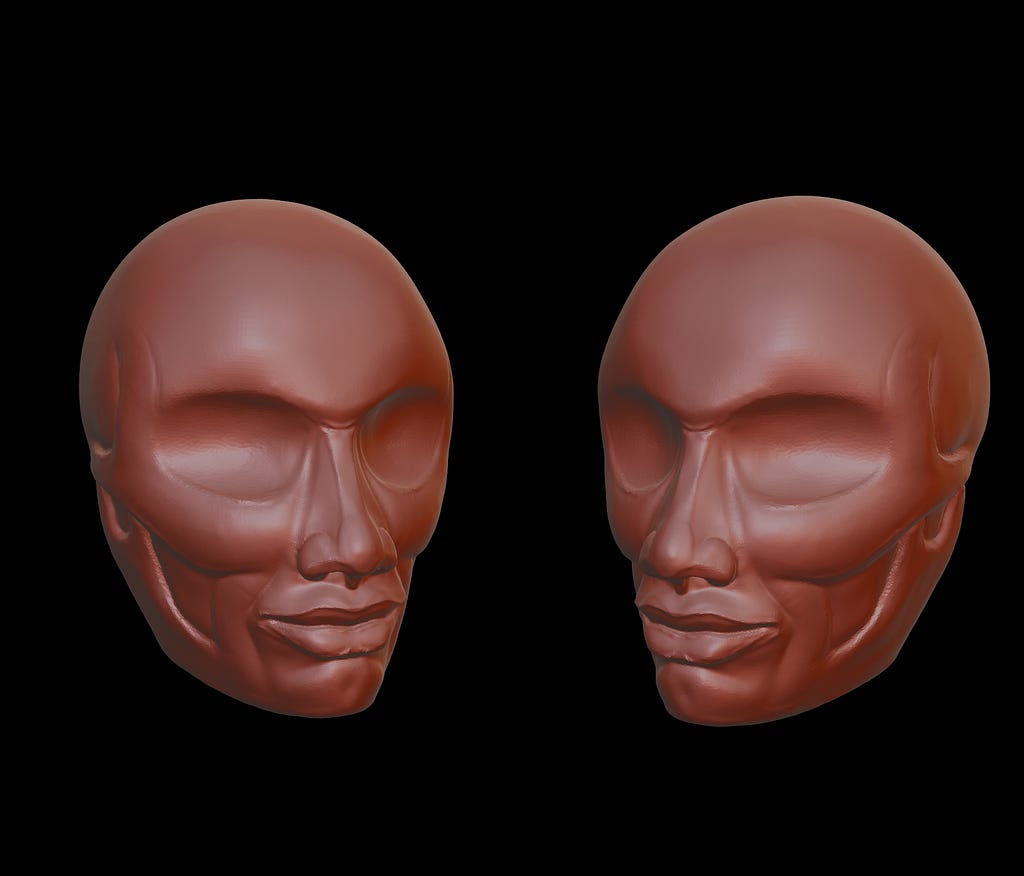 This image contains two heads from the left and the right side. I made a render of my sculptaire in Blender