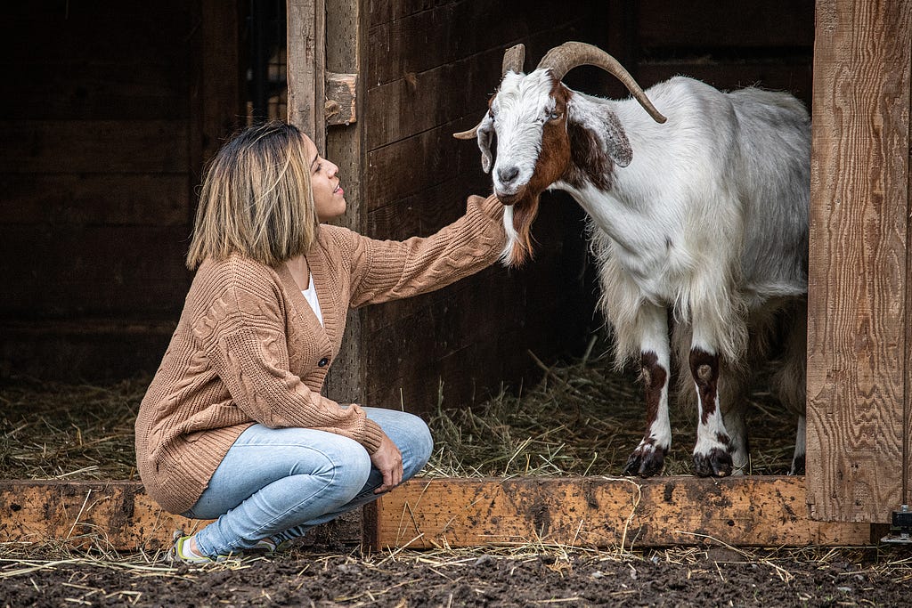 Erin Wing, Deputy Director of Investigations at the animal advocacy NGO Animal Outlook, spend time with Orin at Wildwood Farm Sanctuary & Preserve. Wing’s work as an undercover investigator is featured in We Animals Media’s Unbound Project. USA, 2021. Jo-Anne McArthur / #unboundproject / We Animals Media