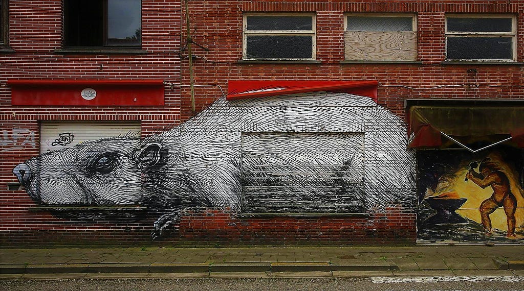 Belgian village of Doel. It is almost a ghost town, covered in graffiti such as giant rats
