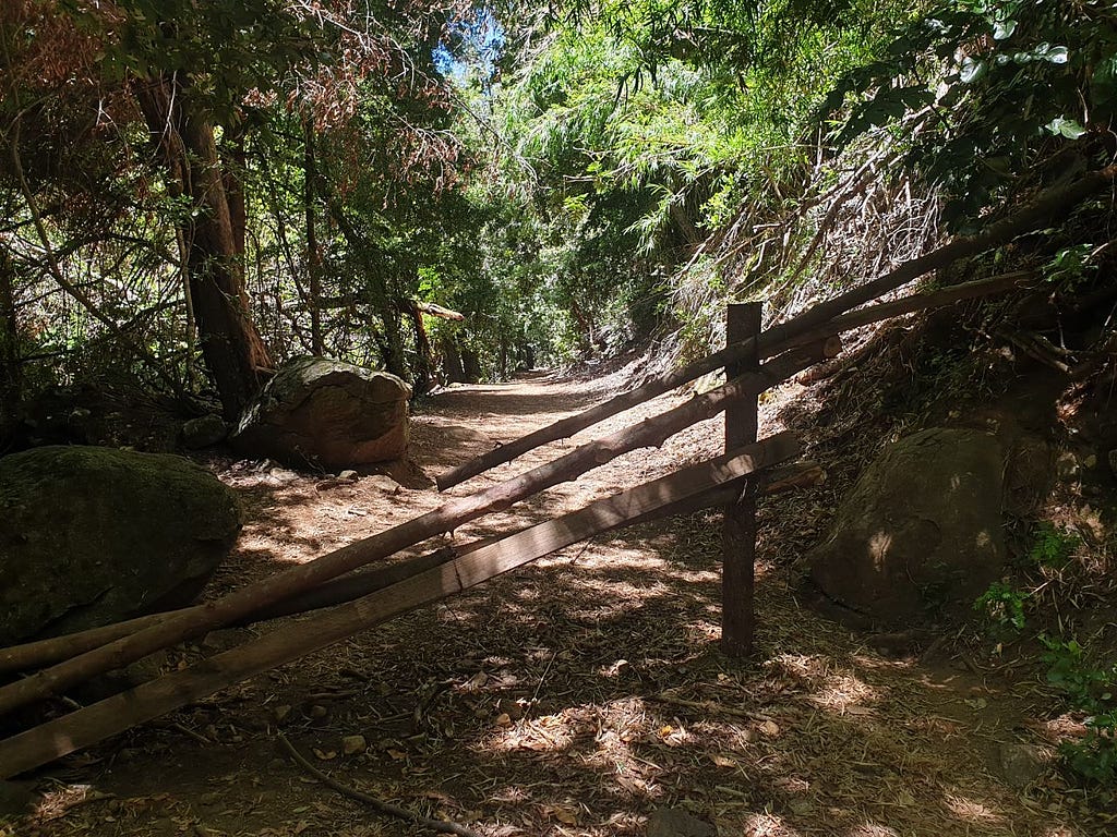 Laguna Canicura Trail, Alto Bio Bio, Chile