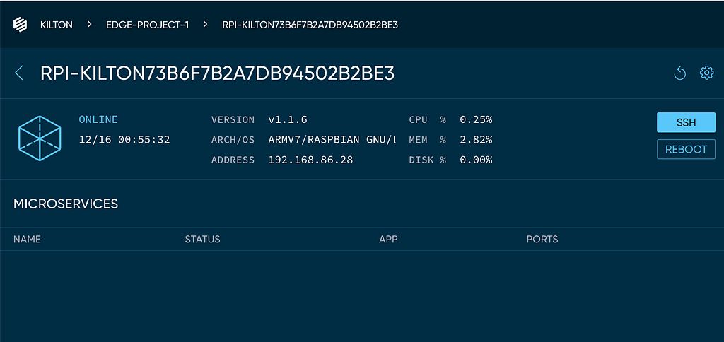 Detail view of Raspberry Pi board in Edgeworx Cloud