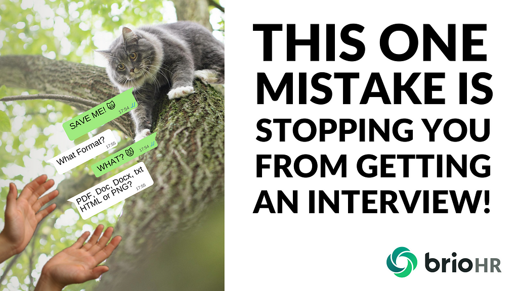 Image of cat stuck in tree — recruitment tips