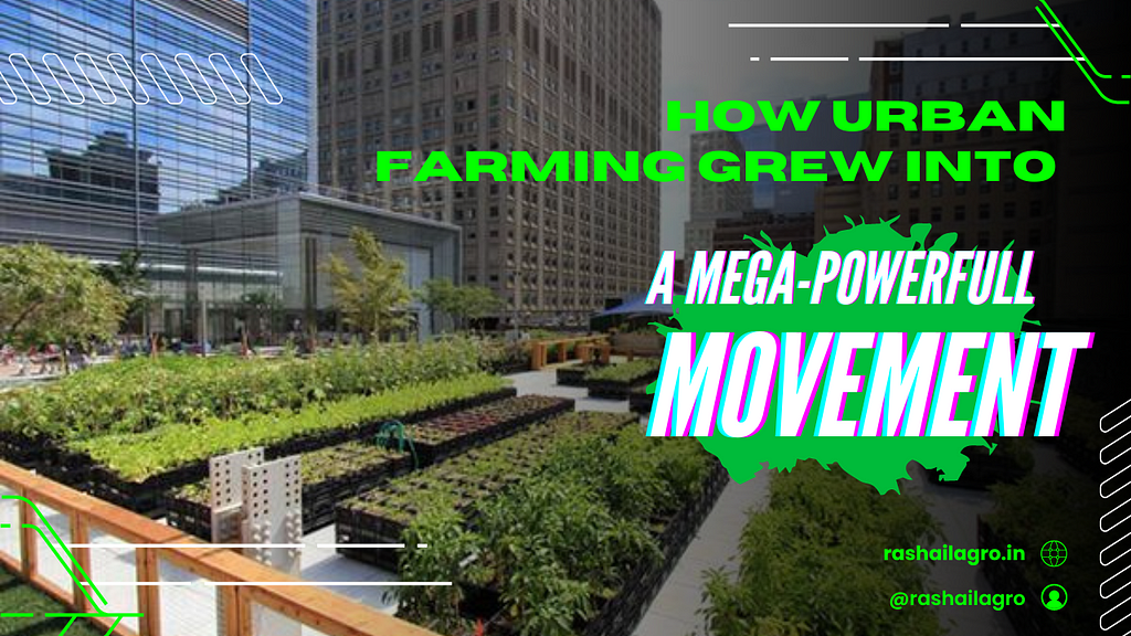 How Urban Farming Grew into a Mega-Powerful Movement