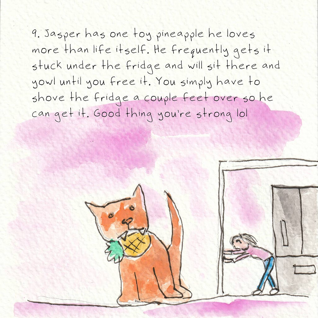 An orange cat sits in the foreground with a small pineapple in his mouth. In the background, a woman struggles to shove a large refrigerator. Text reads: 9. Jasper has one toy pineapple he loves more than life itself. He frequently gets it stuck under the fridge and will sit there and yowl until you free it. You simply have to shove the fridge a couple feet over so he can get it. Good thing you’re strong lol