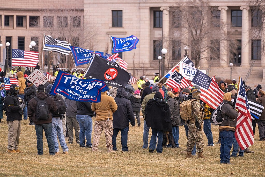This is a group of protestors on a lawn outside a government building. Some have US flags, some have TRUMP 2020 flags, and a placard reads “STOP THE STEAL”