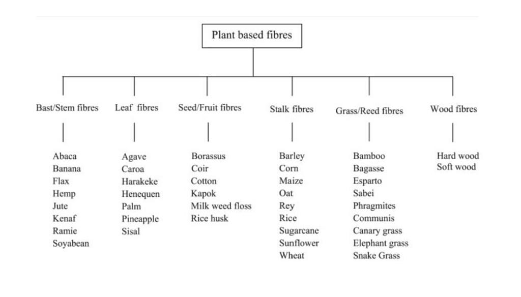 2.3. Plant-based fibres table. Source, Figure 4. ’The Potential of Harakeke’. Le & Pickering, 2014.