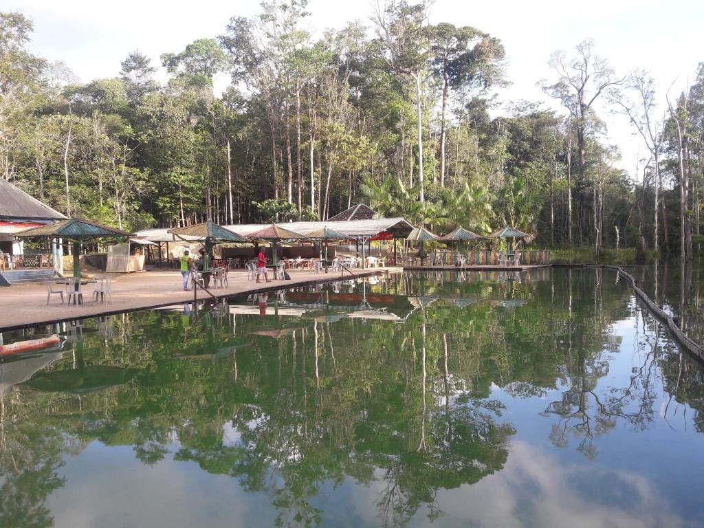 Mosqueira deck com lago e árvores ao fundo