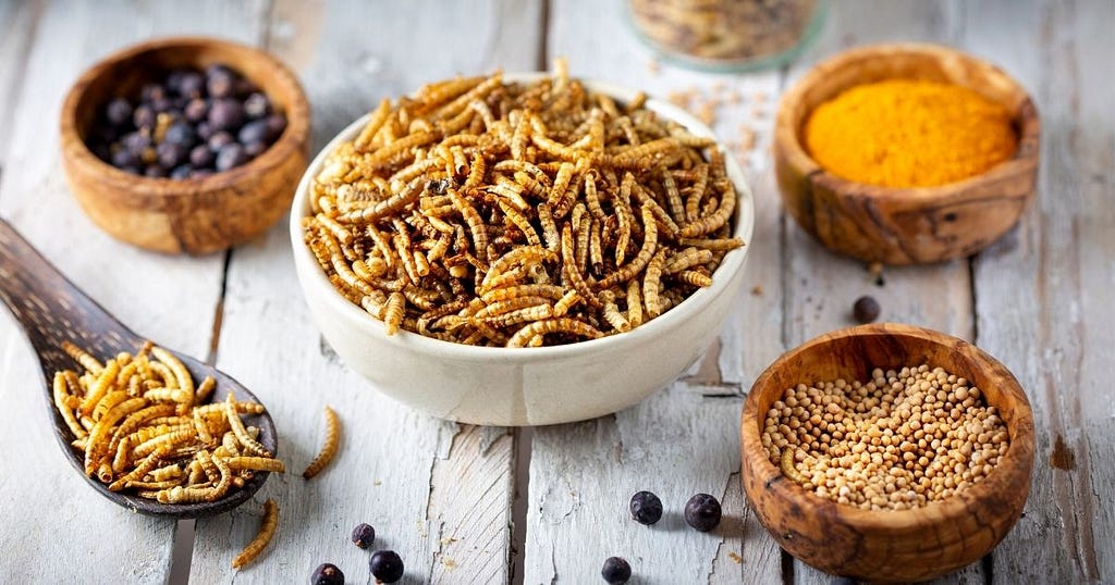 edible insects, yenilebilir böcekler, böcek yemek, entomofaji, gıda fütürizmi, alternatif proteinler