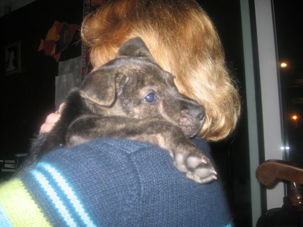 My wife holding our new puppy.