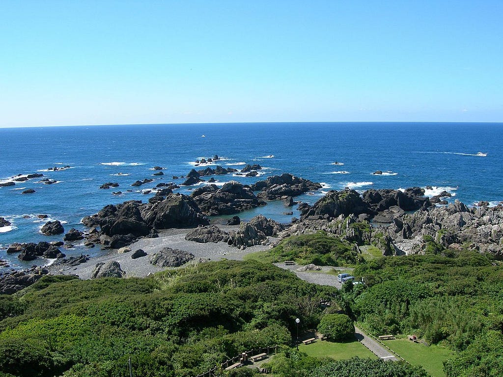 An aerial view of green tree tops before black rocks jutting out into the Pacific ocean.