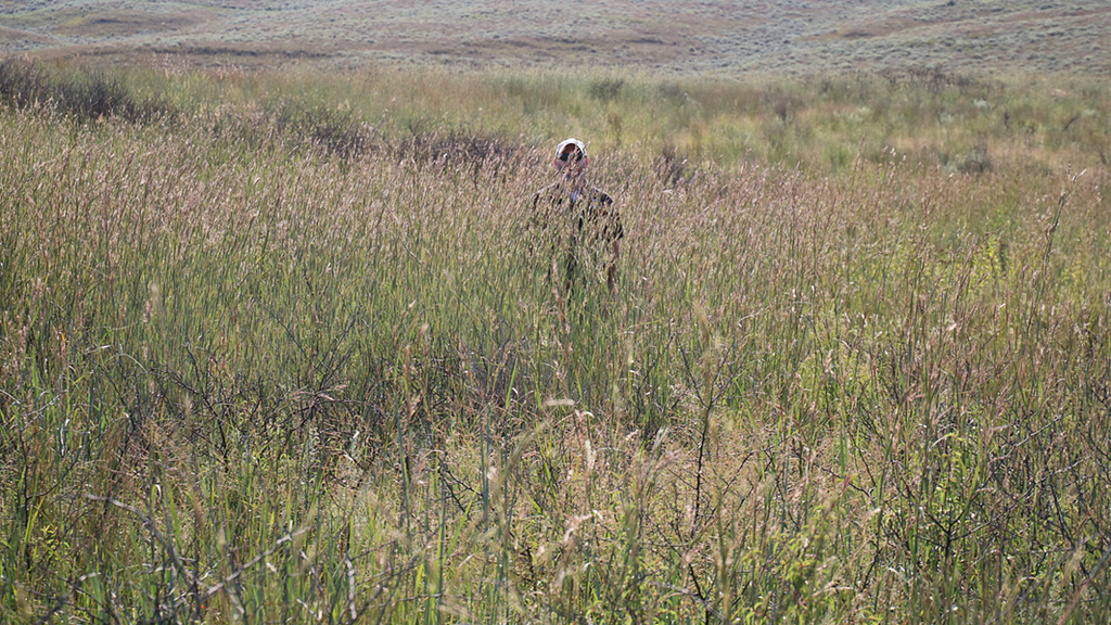 A man is barely visible as he stands in a field of several-feet-tall grass, shrubs, and weeds.