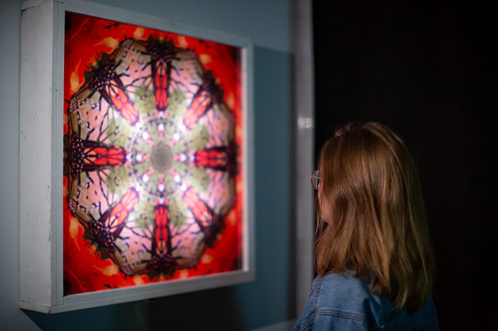 A woman looks at one of Steve’s pieces from the Hive series. It’s a red square with kaleidoscope-like fractals of a butterfly