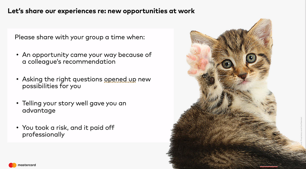 Slide from the deck featuring a kitten with a paw raised and a list of questions for the audience, which are listed in the text below.