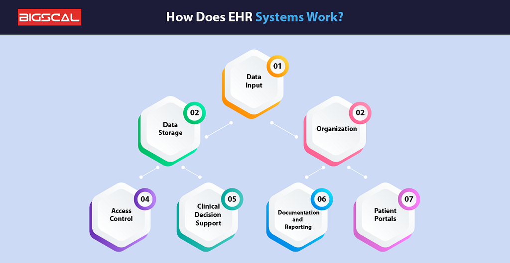 How Does EHR Systems Work?