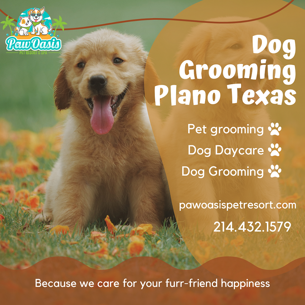 Dog Grooming Plano Texas