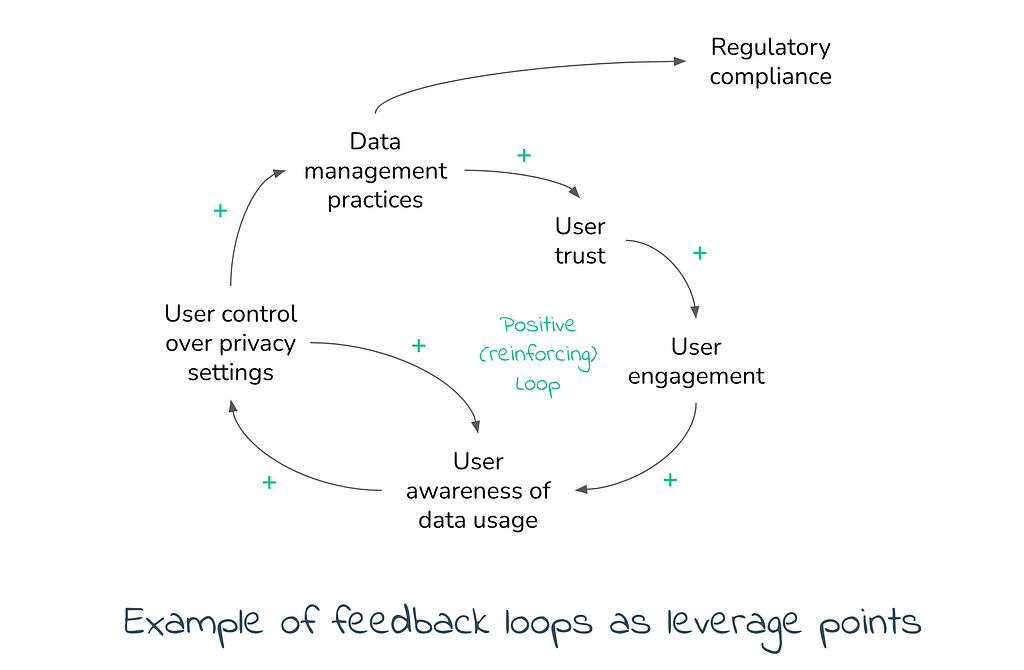 Example of a positive feedback loop focused on user privacy showing leverage points in a system