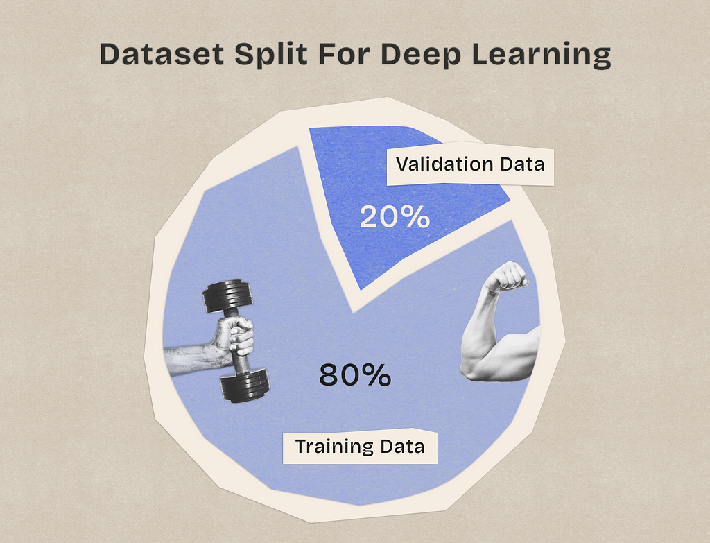 a pie chart with a diagram of a person’s arm and dumbbell