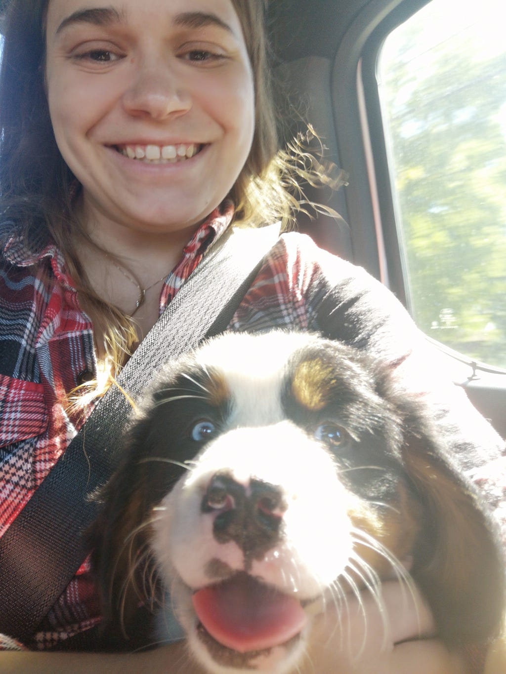 A selfie of me sitting in the back of a vehicle with my Bernese Mountain Dog, Valkyrie, who was an eight week old puppy at the time. She has one blue eye and one brown eye, which are flipped in this picture due to it accidentally being taken in mirror mode.