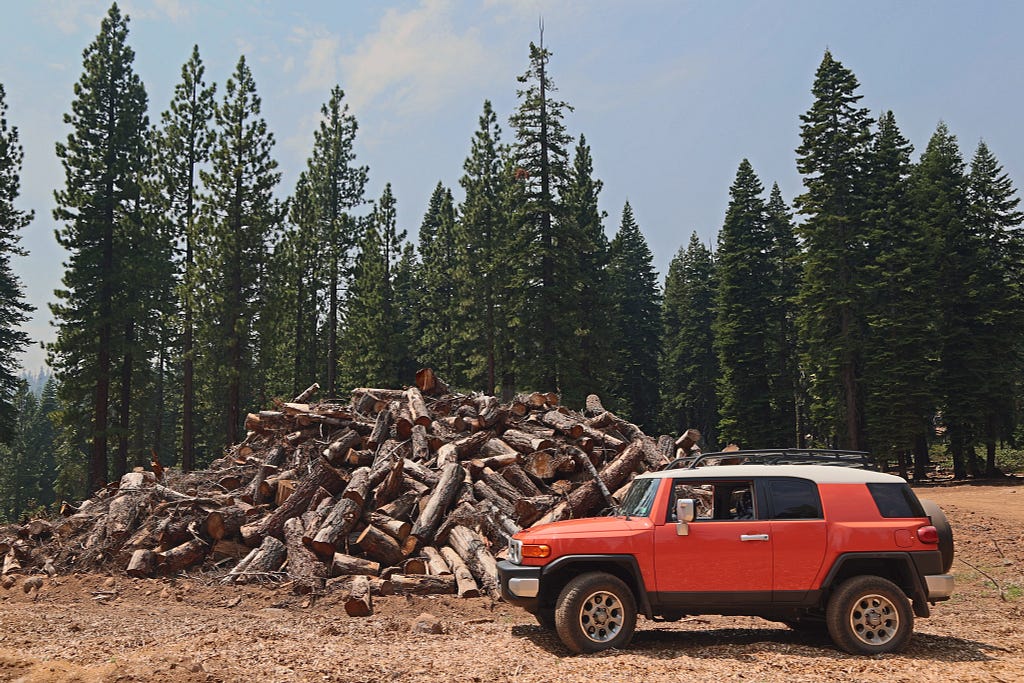 Bright orange FJ Cruiser offroad SUV parked next to a giant tall pile of logs, tall evergreen trees in the back