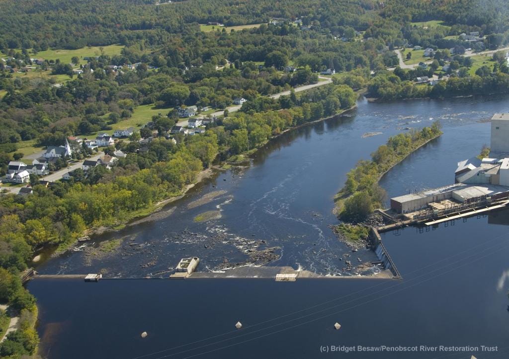 An aerial photograph of a wide river with a dam and houses and trees on the shore