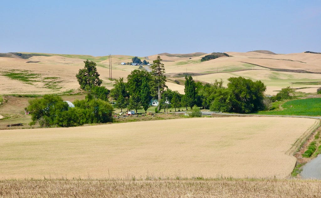 Wheat fields in Palouse Prairie farmland.