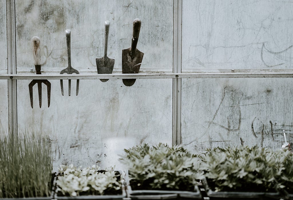 Some gardening tools in a greenhouse.