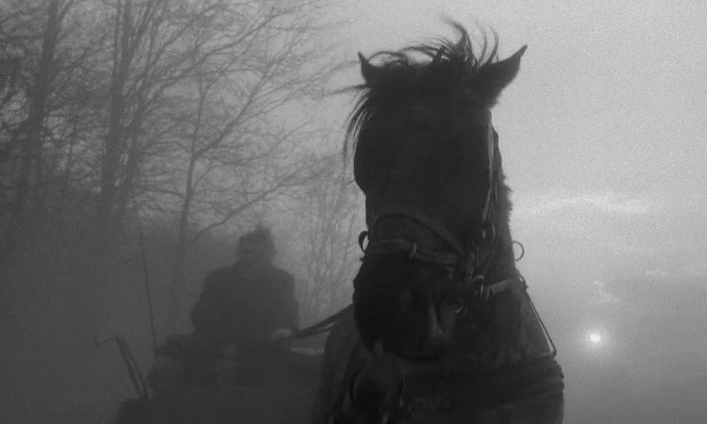 Shot from the film.
