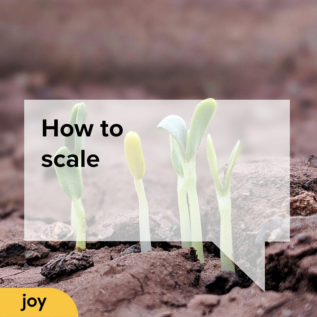 Green shoots growing through the ground with a semi transparent speech bubble overlaid with the words ‘How to scale’