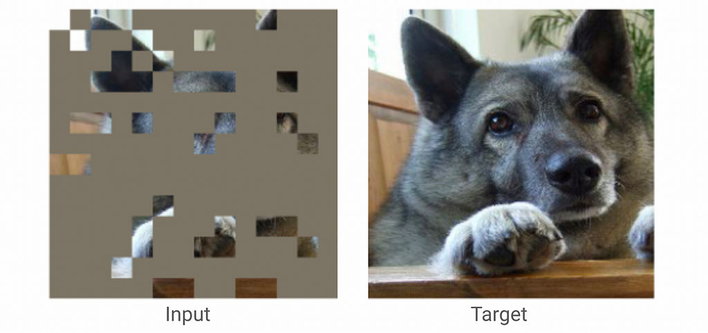 The target is a picture of a dog. The input is the same image, but the majority of the image is hidden.