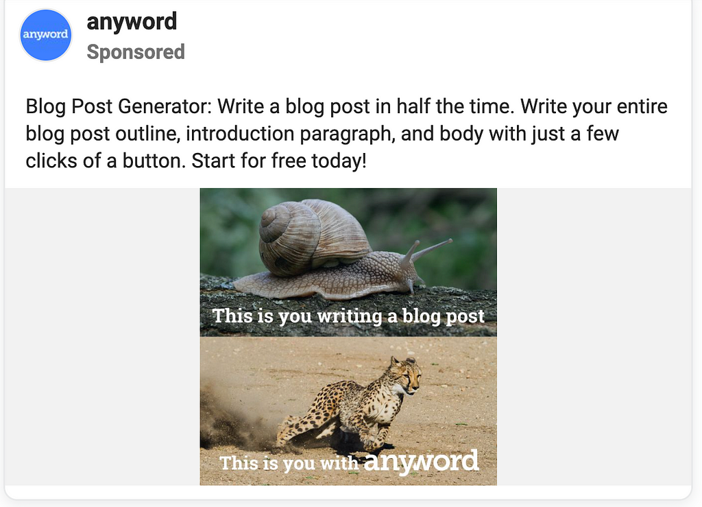 horizontal split screen with a snail on top and a running cheetah on the bottom, top text reads “This is you writing a blog post” bottom text reads “This is you with anyword”
