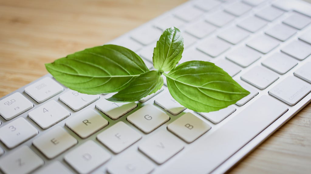 An image of a plant growing out of a keyboard