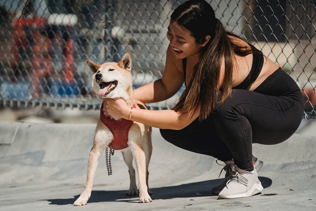 A woman playing with a dog