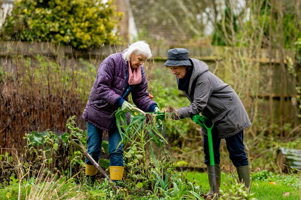 Old people gardening