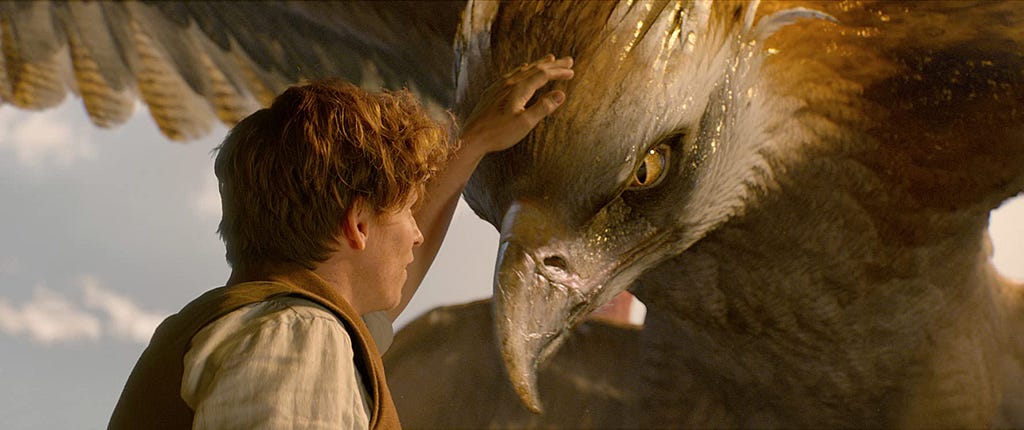 A scene from Fantastic Beasts where Newt Scammander (Eddie Redmayne) pets a Thunderbolt’s head.