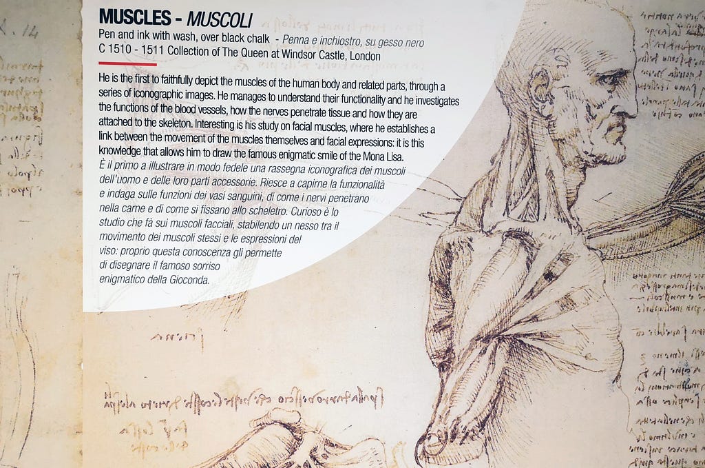 Wall note from Interactive Da Vinci Museum, Florence, on human muscles