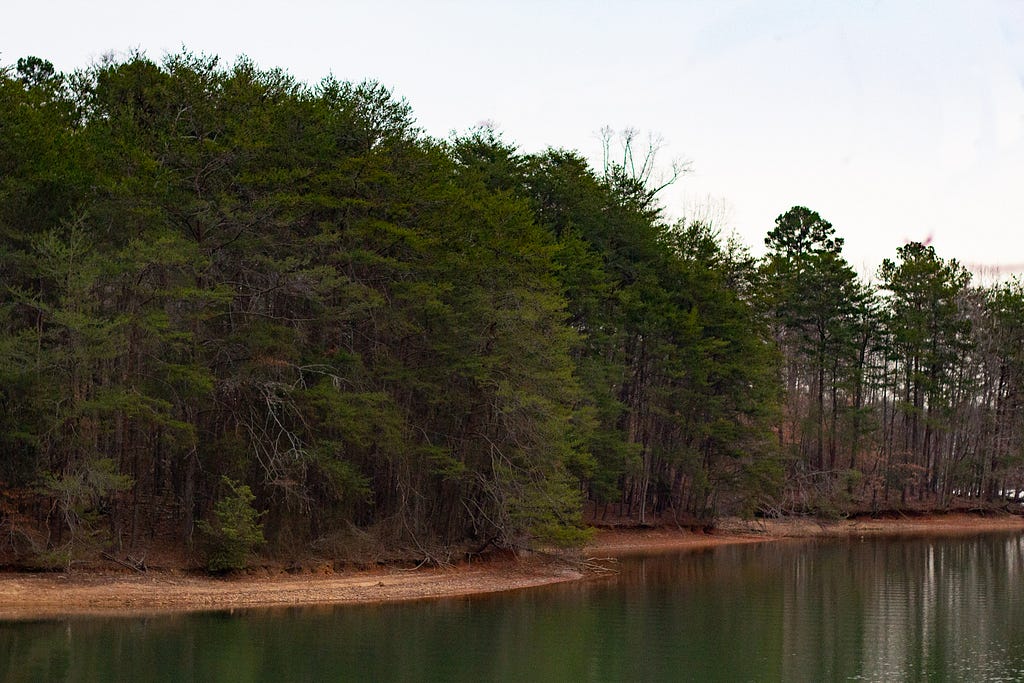 A landscape of the shores of Lake Norman, with the green waters of the lake and even greener trees.